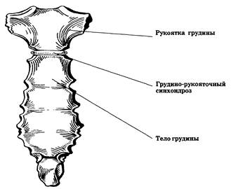 Часть II. Методика локальной инъекционной терапии отдельных суставов и периартикулярных - student2.ru