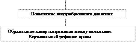 анатомо-физиологические сведения о венозной системе - student2.ru