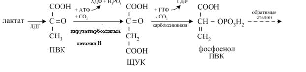 Анаэробное окисление глюкозы - student2.ru