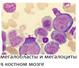 Анемии вследствие нарушения продукции эритроцитов - student2.ru