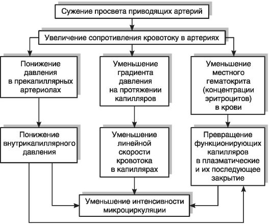 Ангиоспазм - констрикция артерий патологического характера - student2.ru