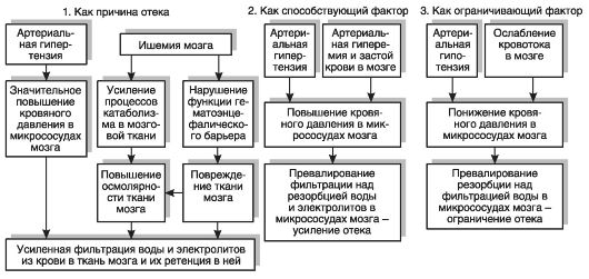 Артериальная гиперемия в головном мозге - student2.ru