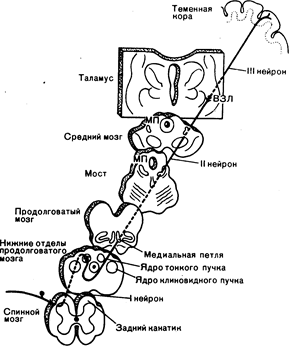 Артур К. Эсбери (Arthur К. Asbury) - student2.ru