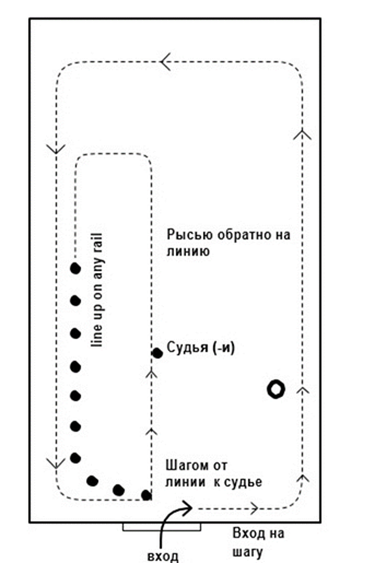 ассоциация американских миниатюрных лошадей - student2.ru