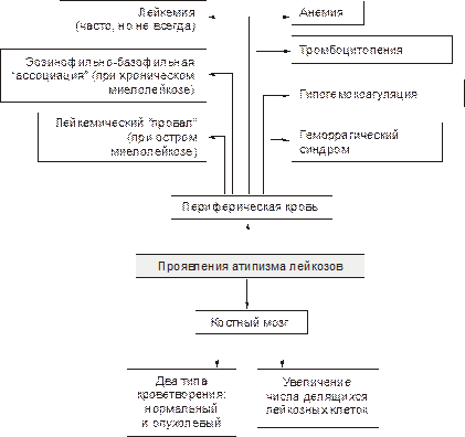 Атипизм роста гемобластозов - student2.ru