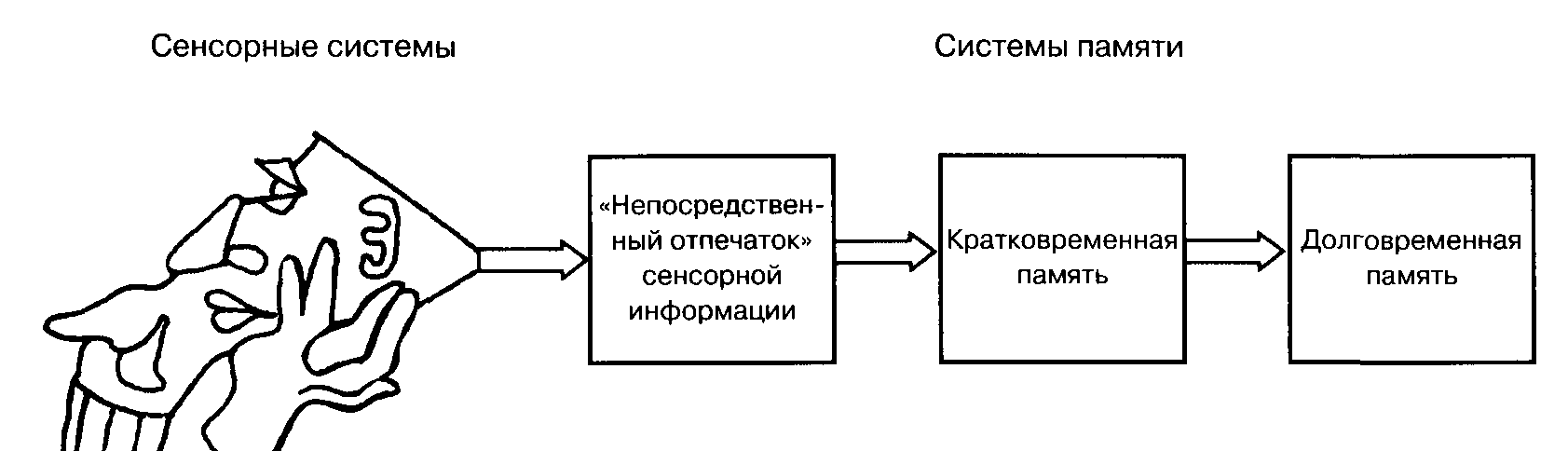 Атрофия головного мозга при болезни Пика - student2.ru