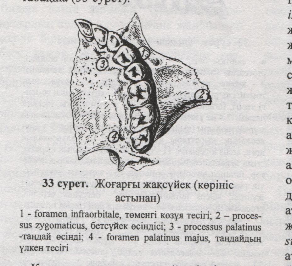 Бөлім жұмысының сапасын тексеру. - student2.ru