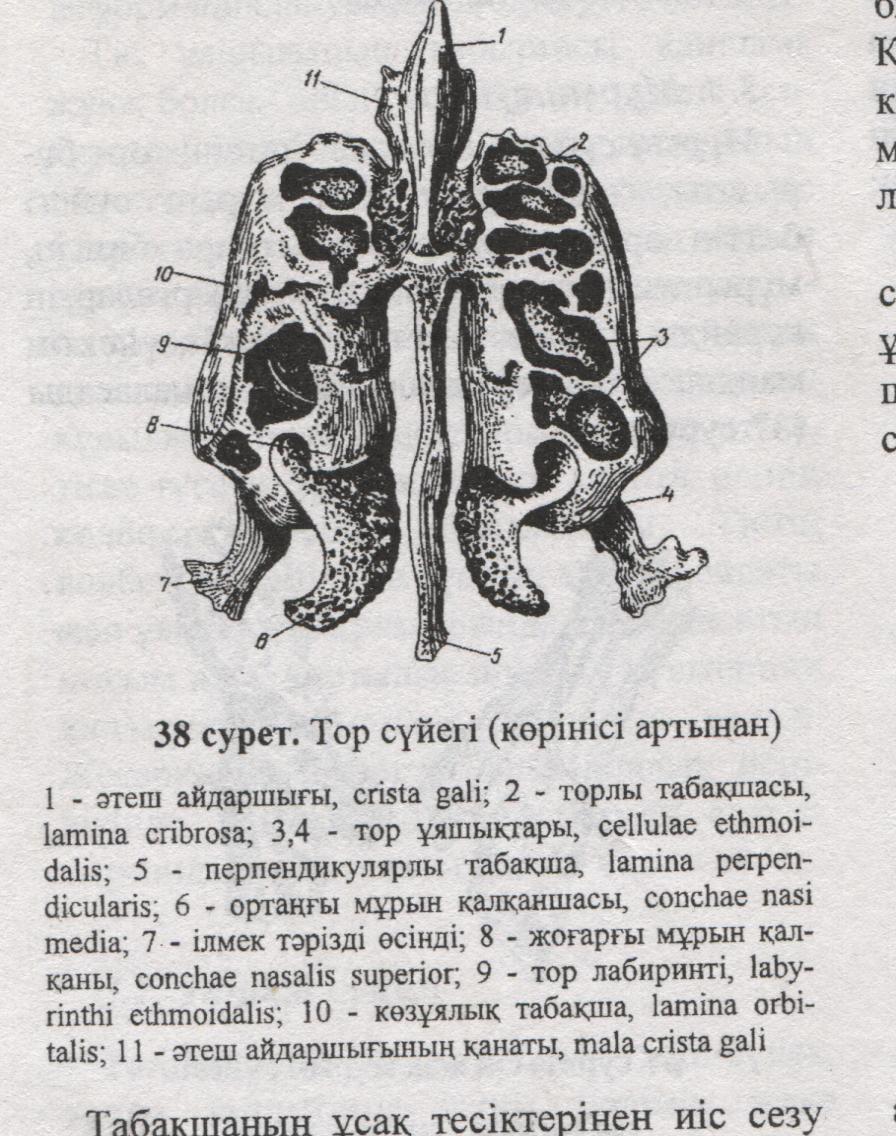 Бөлім жұмысының сапасын тексеру. - student2.ru