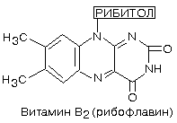 биохимические основы питания человека - student2.ru