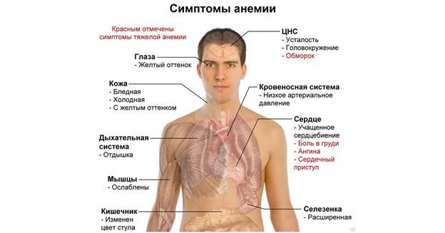 Биохимические показатели крови - student2.ru