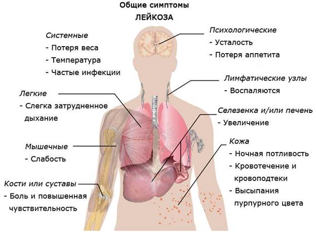 Биохимические показатели крови - student2.ru