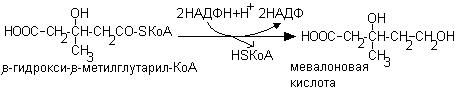 Биохимические принципы витаминотерапии - student2.ru