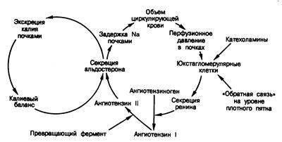 Биохимия и физиология стероидов - student2.ru