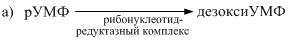 Биосинтез пиримидиновых нуклеотидов - student2.ru