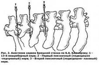 блокада межреберных нервов - student2.ru