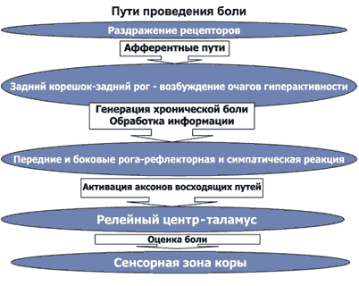 боль острая и хроническая. болевой синдром - student2.ru