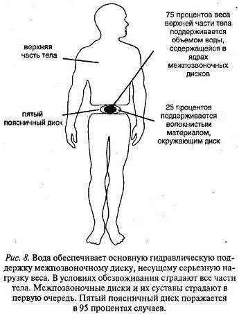 боль в области поясницы - student2.ru