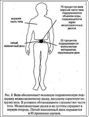 боль в области поясницы - student2.ru