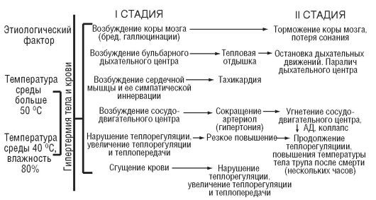 болезнетворное действие тепловой энергии. перегревание. тепловой удар - student2.ru