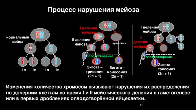 Болезни свёртывающей системы крови - student2.ru