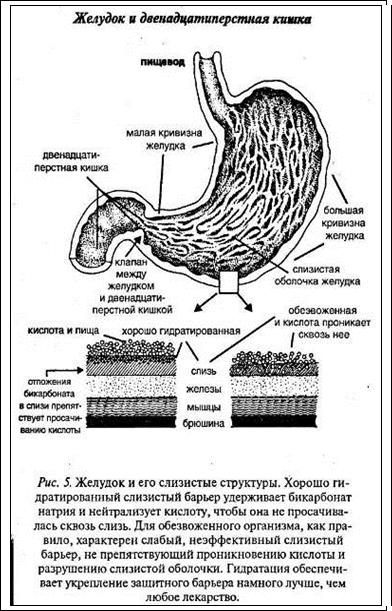 Боли при диспепсии - student2.ru