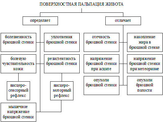 Большой кривизны (нижней границы) желудка - student2.ru