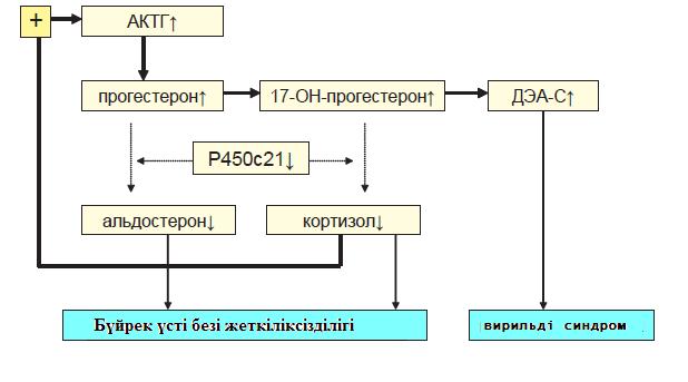 Болжамы. Өз сырқатының ауырлығын түсінетін, қосымшы аурулар кезінде глюкокортикоидтар мөлшерін адекватты өзгерте алатын - student2.ru