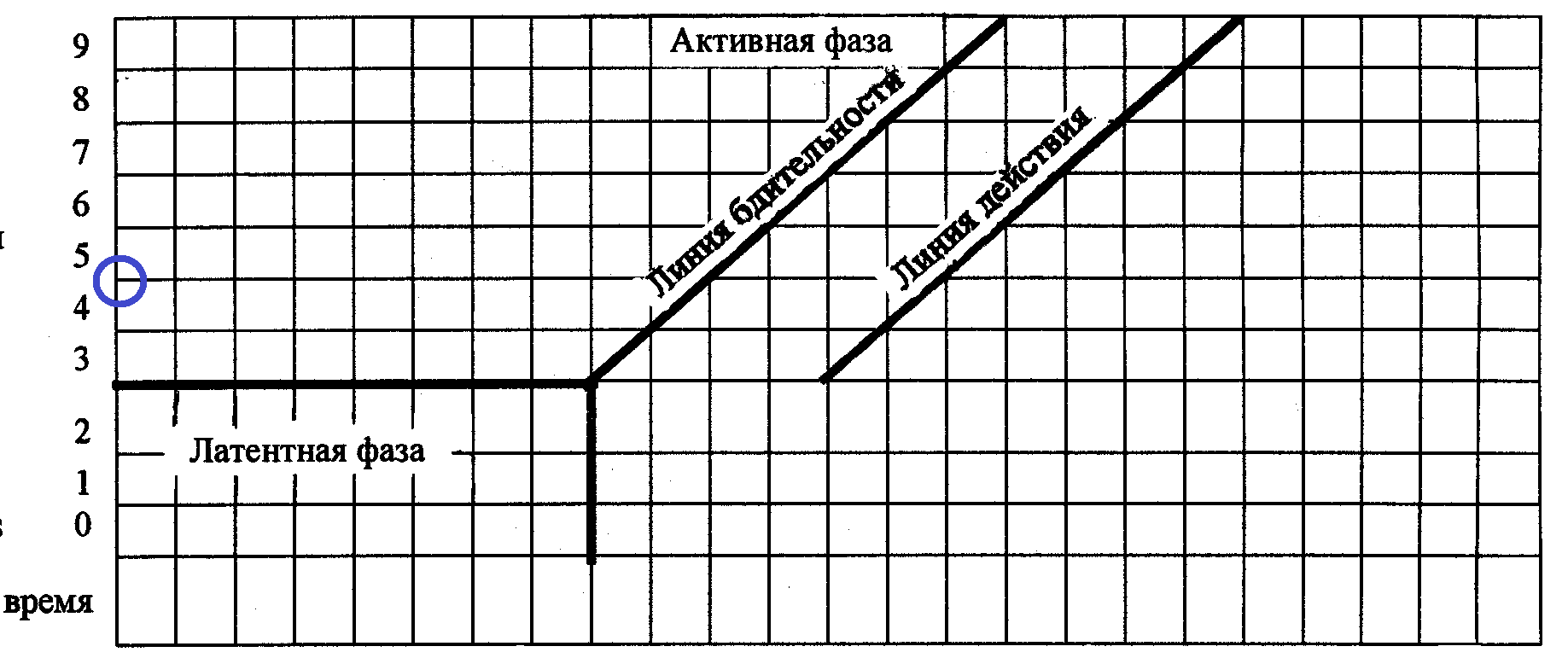 босану физиологиясы туралы түсінік - student2.ru