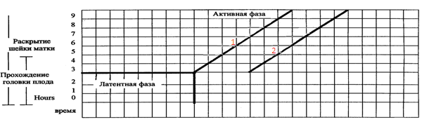 босану физиологиясы туралы түсінік - student2.ru