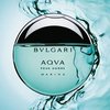 Bvlgari Aqua Pour Homme Marine - student2.ru