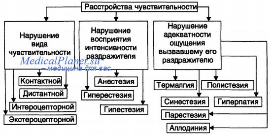 Центральные параличи и парезы - student2.ru