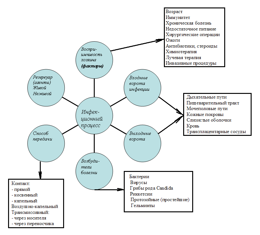Цепочка инфекционного процесса - student2.ru