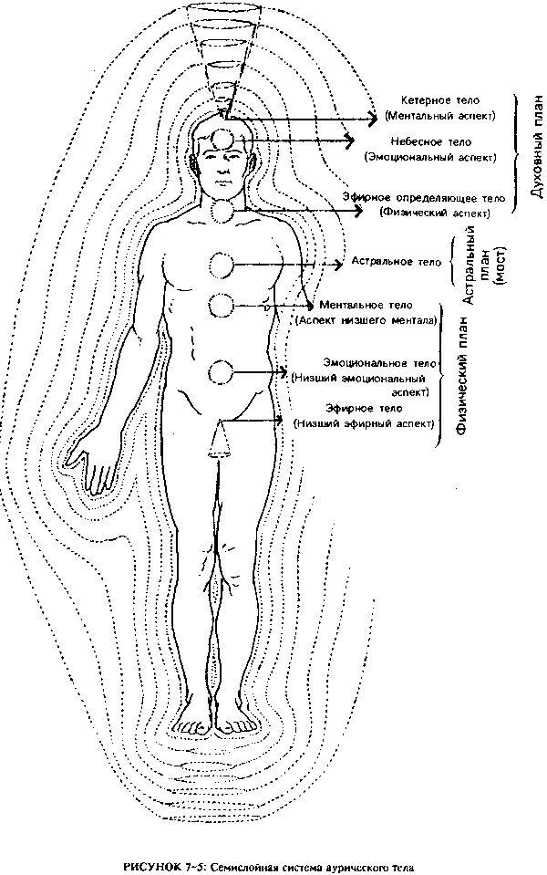 Чакры аурического тела имеют три основные функции - student2.ru