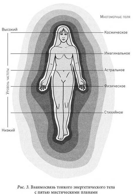 Чакры: порталы человеческого тела - student2.ru