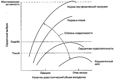 частота сердечных сокращений - student2.ru