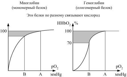 Четвертичная структура белков - student2.ru
