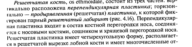 Что собой представляют группы крови - student2.ru