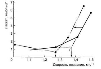 Что такое - Лактатный порог? - student2.ru