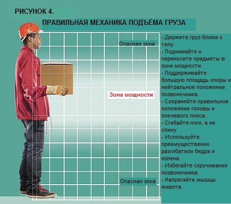 Что такое повреждения скелетно-мышечной системы, связанные с работой? - student2.ru