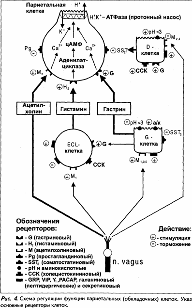 Cписок сокращений и условных обозначений - student2.ru