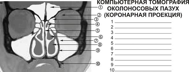 Данные лабораторных, инструментальных методов исследования и консультации специалистов. - student2.ru