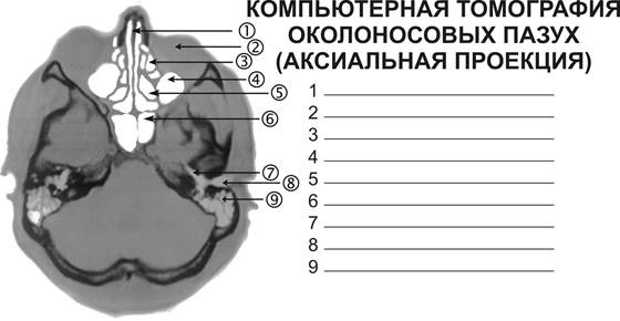 Данные лабораторных, инструментальных методов исследования и консультации специалистов. - student2.ru