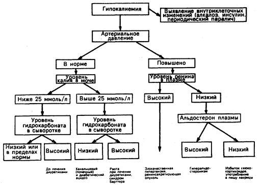 Дефицит калия и гипокалиемия - student2.ru