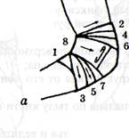 десмургия. мягкие и твердые повязки - student2.ru
