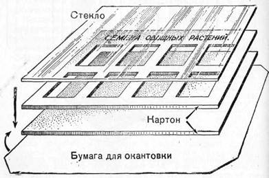 девять работ по оформлению препаратов и коллекций - student2.ru