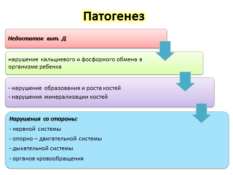 Действие кальция в организме человека - student2.ru
