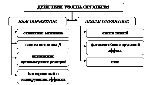 Действие механических факторов на организм - student2.ru