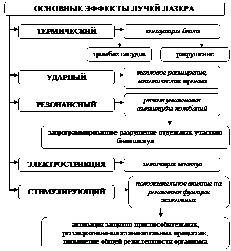 Основные клинические проявления ожогов - student2.ru