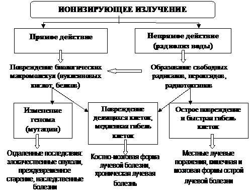 Действие механических факторов на организм - student2.ru