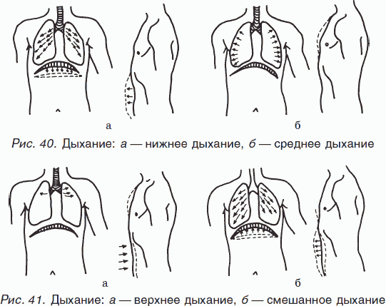 Диафрагма при выдохе и вдохе - student2.ru